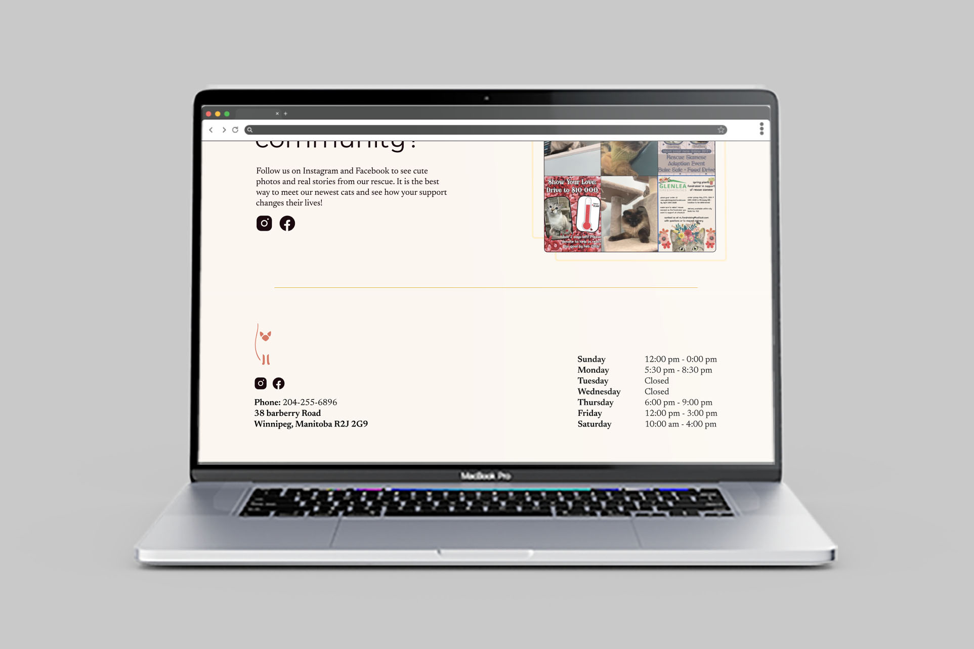 mockup of Rescue Siamese Website footer