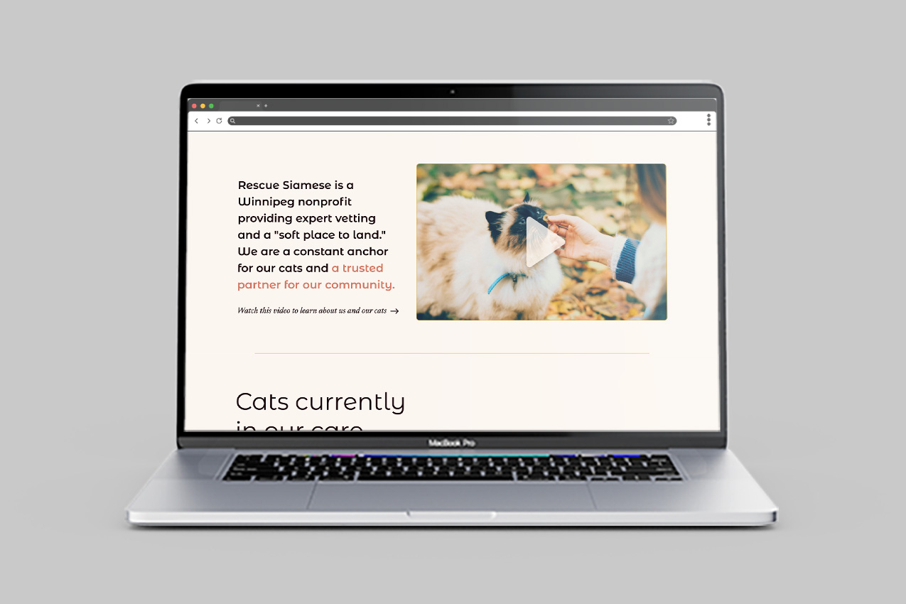 mockup of Rescue Siamese Website intro